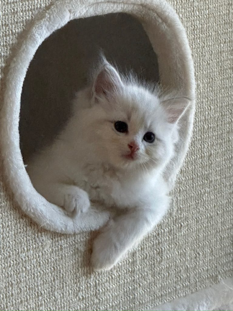 Hangin Out
