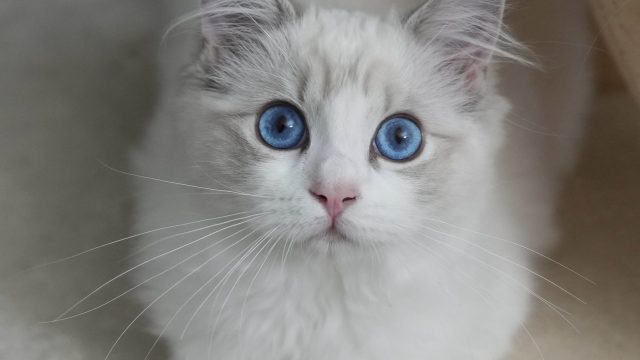 Surprised
