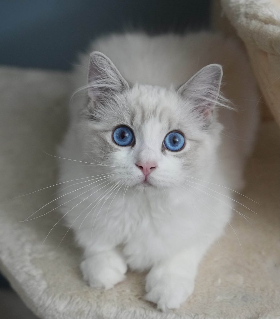 Surprised