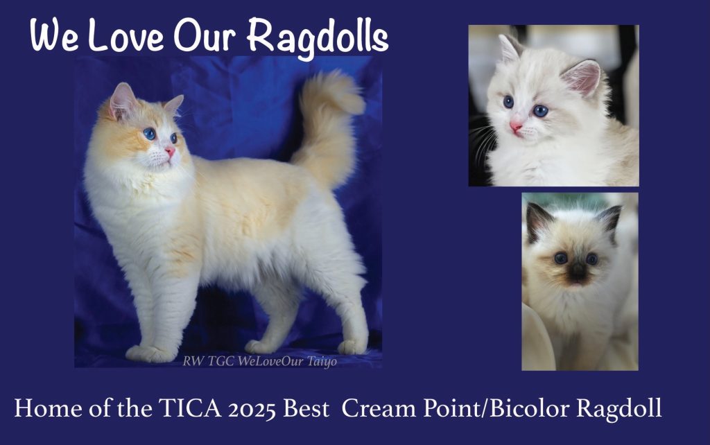 2025 TICA Ad