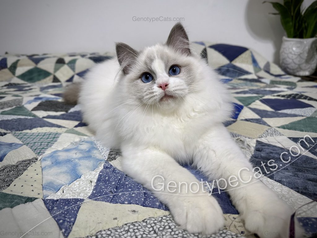 IMG_07442111